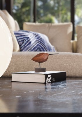 Livingroom Couchscene Smallbird